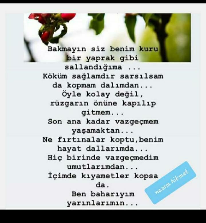 hayata tavsiyee (217).jpg